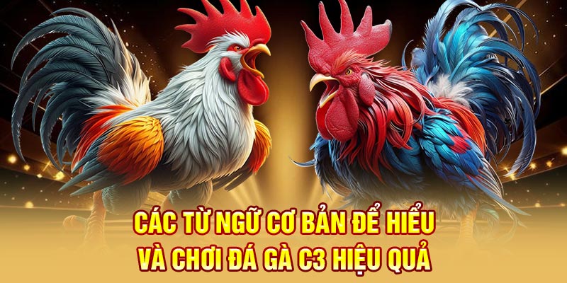 Các từ ngữ cơ bản để hiểu và chơi đá gà C3 hiệu quả