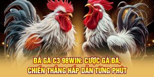 đá gà c3