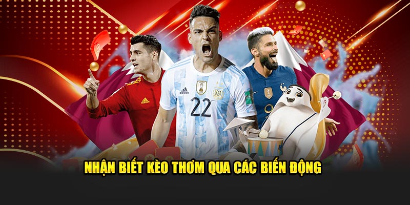 Nhận biết kèo thơm qua các biến động
